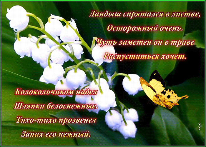 Открытка с ландышами со стихами Открытка с ландышами со стихами