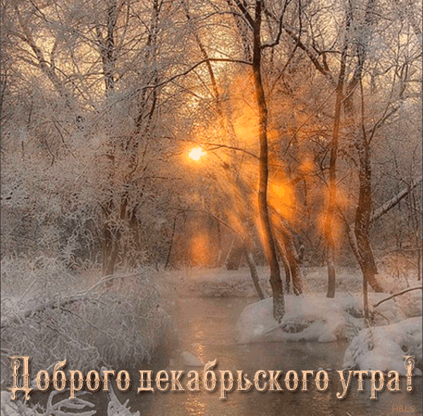 Используйте яркие и веселые открытки, чтобы пожелать своим родственникам, друзьям или коллегам доброго утра в декабре. Используйте яркие и веселые открытки, чтобы пожелать своим родственникам, друзьям или коллегам доброго утра в декабре.