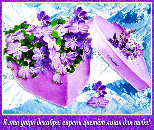 Гифка в это утро декабря, сирень цветёт лишь для тебя! Гифка в это утро декабря, сирень цветёт лишь для тебя!