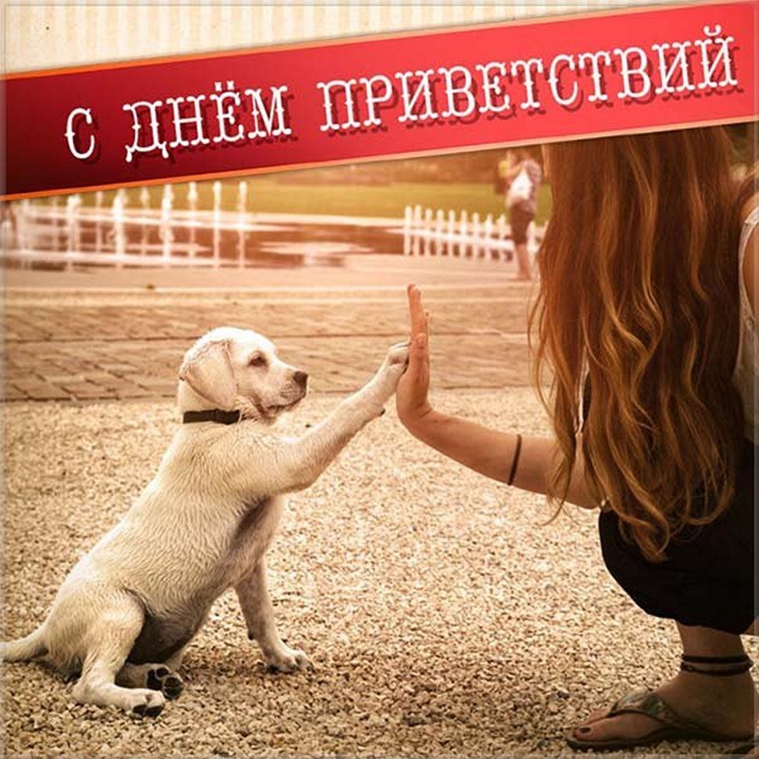 Поздравления с днем приветствий - лучшие открытки.