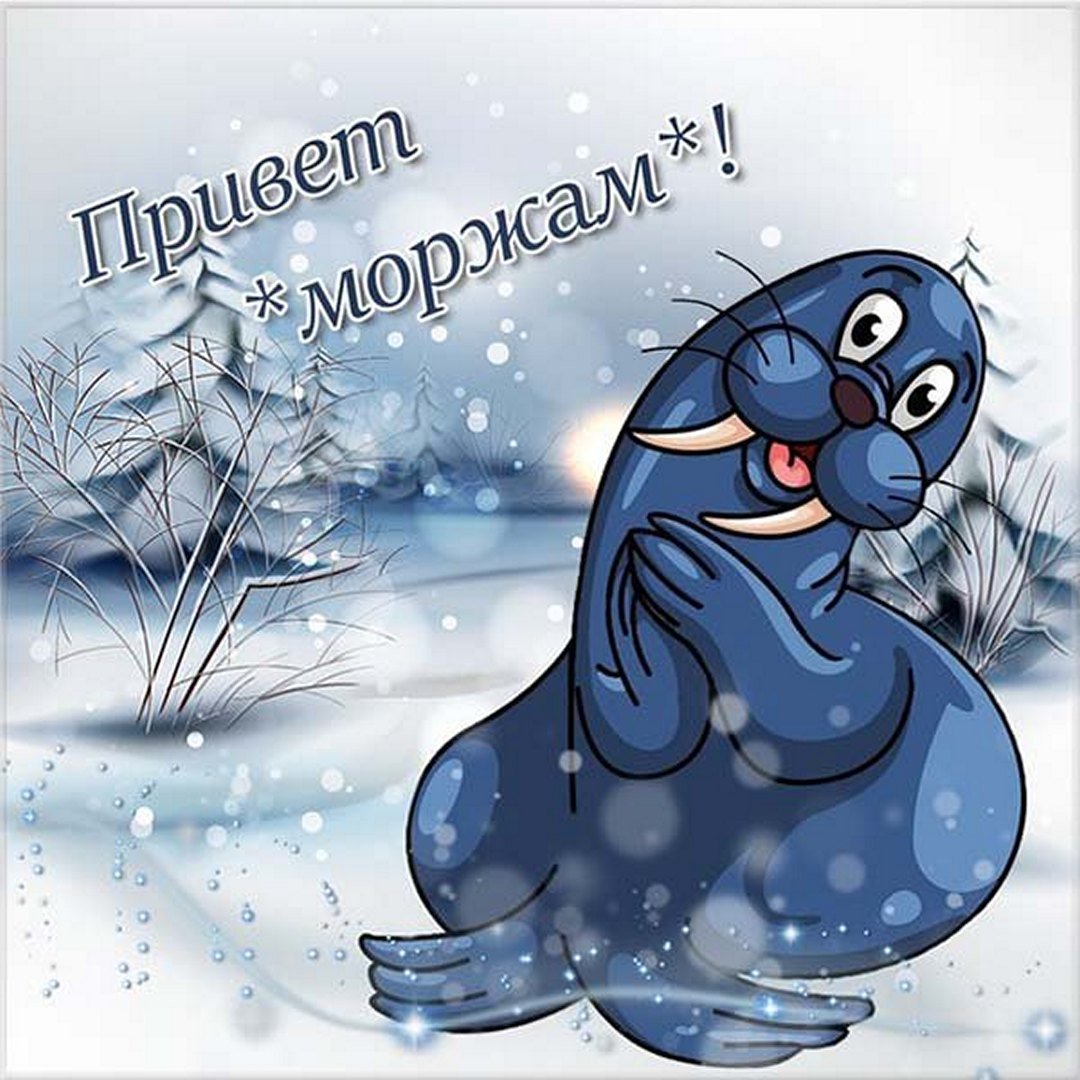 Прикольные открытки с Международным днём Моржа 2023 - 2024 Прикольные открытки с Международным днём Моржа 2023 - 2024