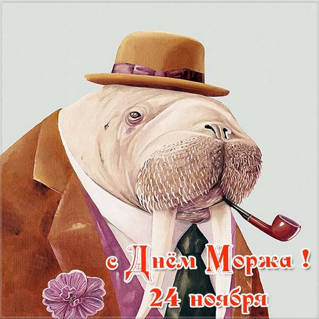 Картинки с днём Моржа 24 Ноября 2023 (20 фото) Картинки с днём Моржа 24 Ноября 2023 (20 фото)