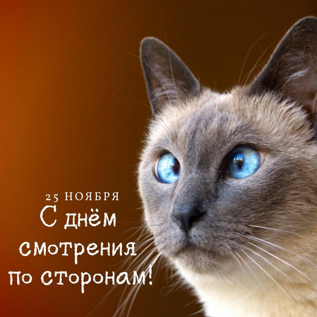25 Ноября 2023 - 2024 Поздравления с днём Смотрения по сторонам