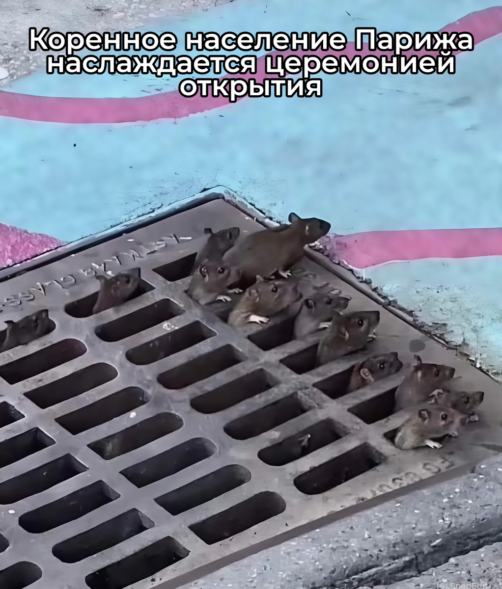 Как жители Парижа смотрят на свою Олимпиаду.