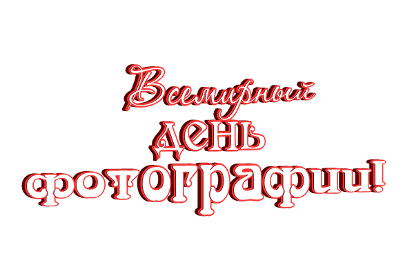 Анимированная надпись (гиф стикер" "Всемирный день фотографии!" на прозрачном фоне.
