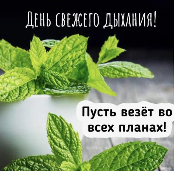 Мятная освежающая картинка "День свежего дыхания! Пусть везёт во всех планах!".