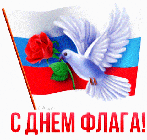 Анимированный гиф стикер с голубем мира ко дню флага на прозрачном фоне.