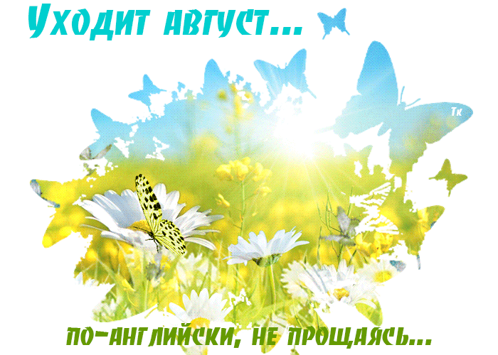 Анимированный гиф стикер с бабочками и надписью "Уходит Август, по английски, не прощаясь" на прозрачном фоне.