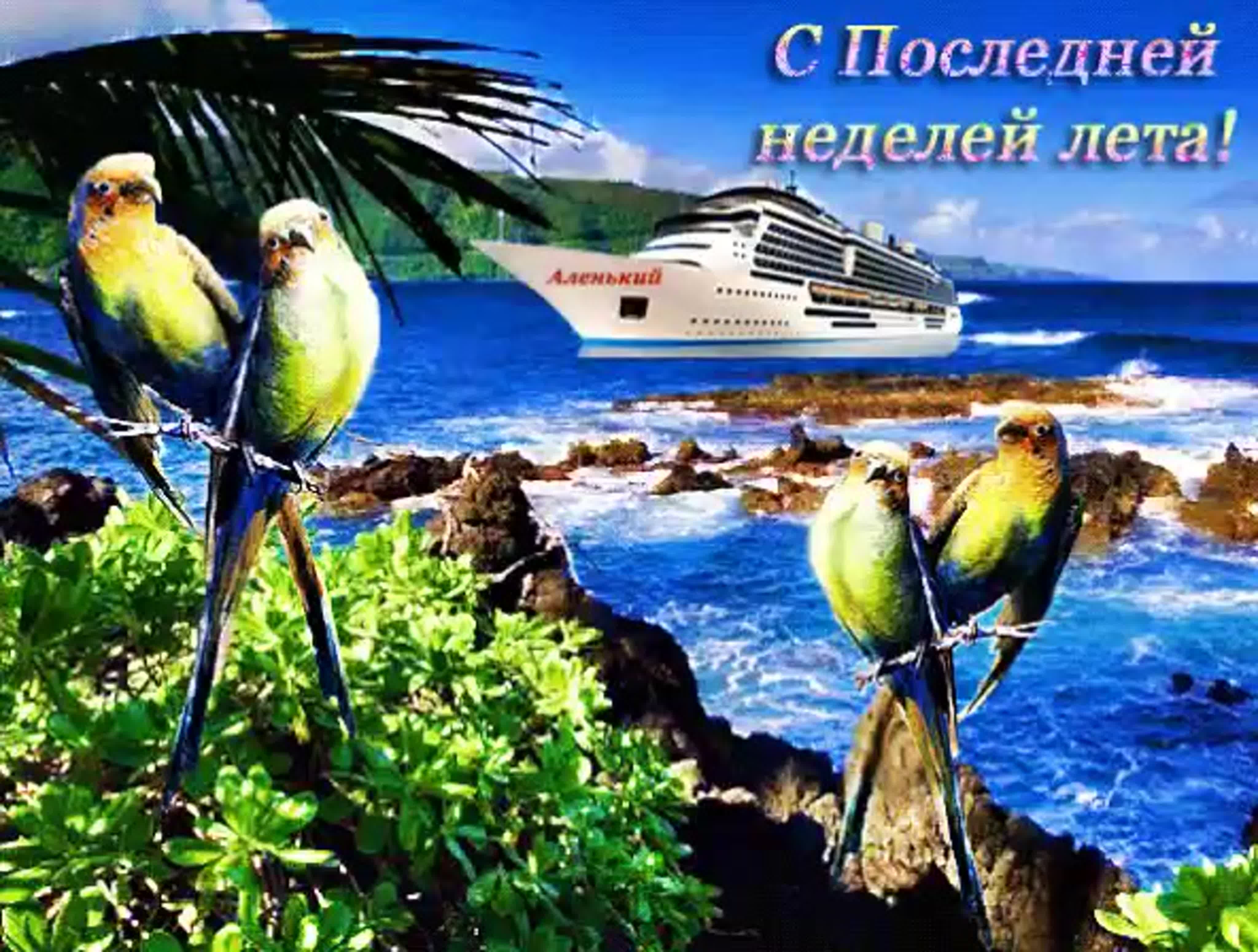 Морская открытка с попугаями для поздравления с последней неделей лета.