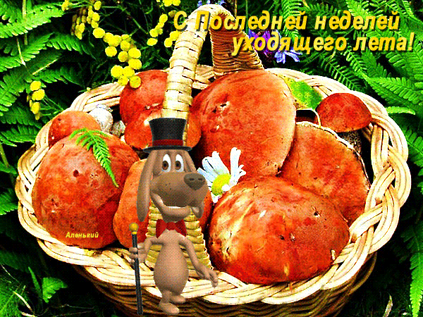 Смешная гифка с танцующей собакой и текстом "С последней неделей уходящего Лета!".