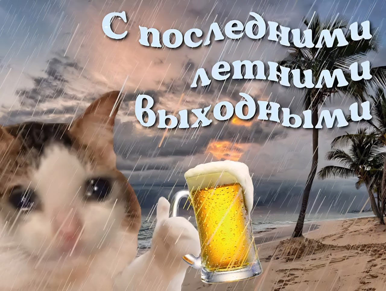 Смешная картинка с котом с пивком под дождём для поздравления с последними летними выходными.