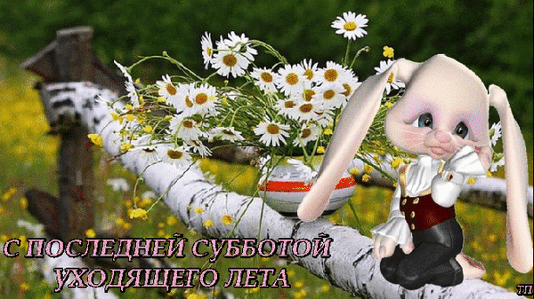 Красивая живая gif картинка с зайкой и ромашками "С последней субботой уходящего лета".