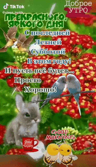 Позитивная гиф открытка к последней летней субботе с пожеланием прекрасного яркого дня.