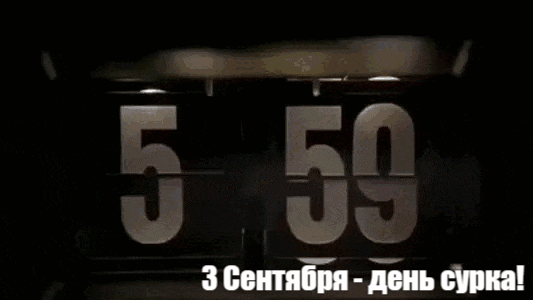 Смешная гифка из фильма "День Сурка" про дежавю 3-го сентября. Смешная гифка из фильма "День Сурка" про дежавю 3-го сентября.