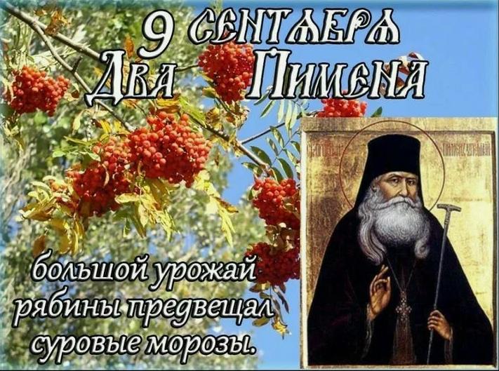 Новая картинка с рябиной и на 9 Сентября "Два Пимена. Если был большой урожай рябины, то значит будут суровые морозы.