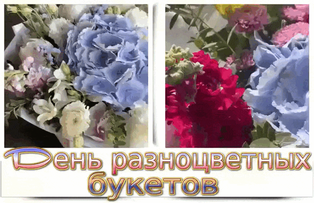Креативная гифка с поздравлением с днём разноцветных букетов для любимой.