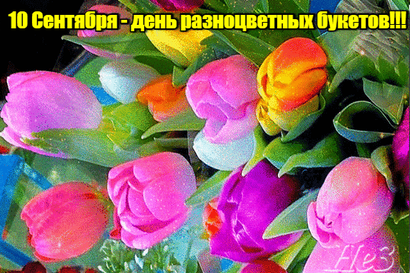 Весенняя анимация с тюльпанами на праздник разноцветных букетов для любимых дам.