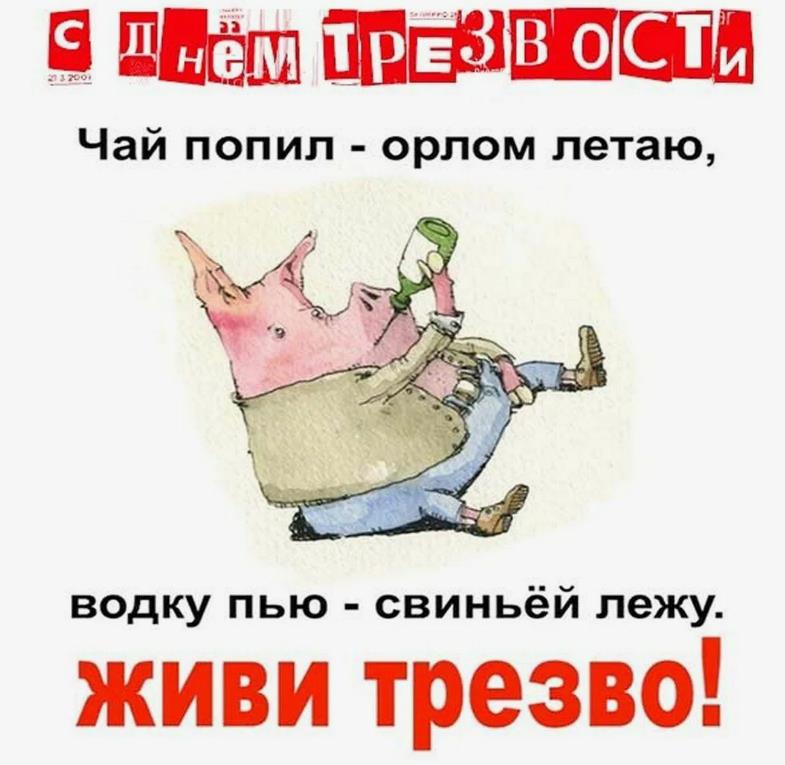 Мем, демотиватор со свиньёй ко дню трезвости "Чай попил - орлом летаю, водку пью свиньёй лежу!". Мем, демотиватор со свиньёй ко дню трезвости "Чай попил - орлом летаю, водку пью свиньёй лежу!".