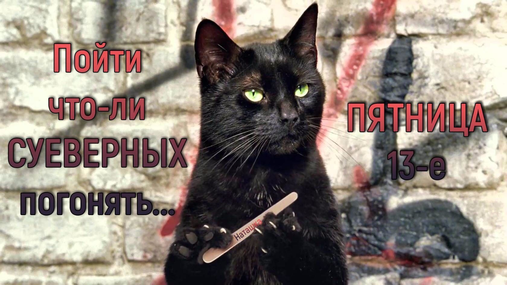 Мем с чёрной кошкой пойти что-ли суеверных погонять.