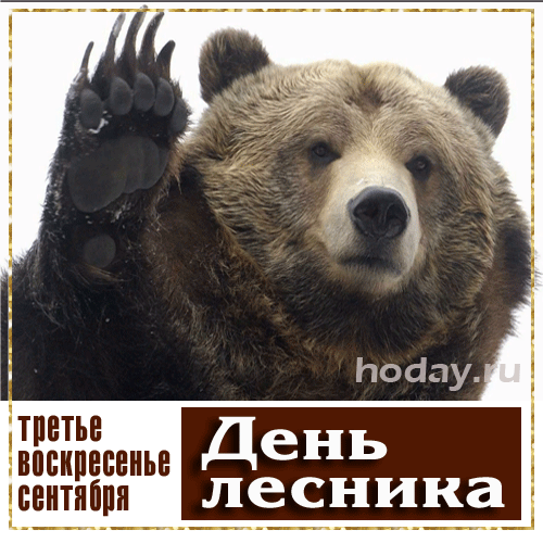 Угарная анимация с медведем на праздник Лесников в России. Угарная анимация с медведем на праздник Лесников в России.