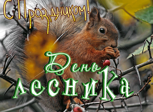 Милая анимация с белочкой ко дню Лесника. Милая анимация с белочкой ко дню Лесника.