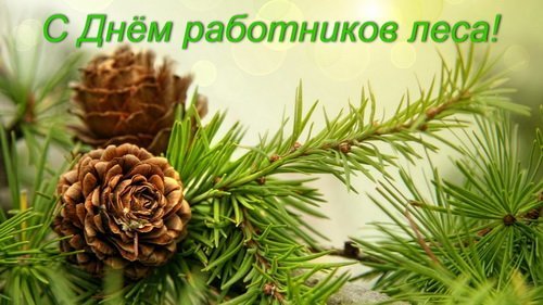 Картинка с сосновой шишкой для поздравления с днём работников леса. Картинка с сосновой шишкой для поздравления с днём работников леса.