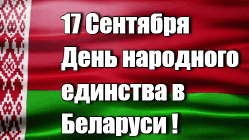 Живая gif картинка с реющим флагом республики Беларусь и поздравительной надписью с днём народного единства.