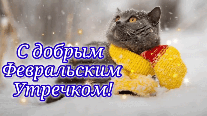 Красивая мерцающая gif картинка с котом "С добрым Февральским Утречком!".