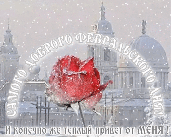 Гифка Самого доброго Февральского дня! И конечно же тёплый привет от меня!