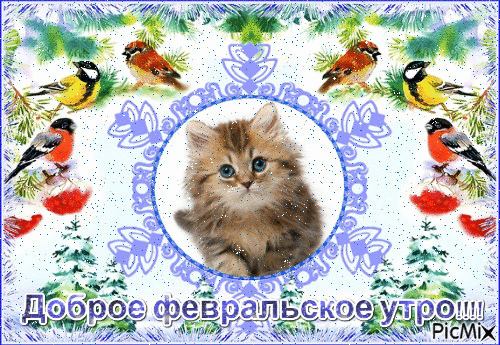 Анимация доброе февральское Утро!