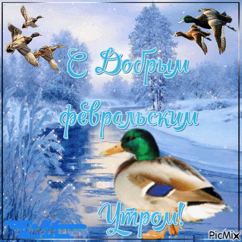 Зимняя открытка с утками и пожеланием доброго Февральского Утра!