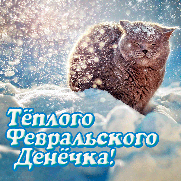 Классная  анимация с котом на снегу и пожеланием тёплого Февральского Денёчка!
