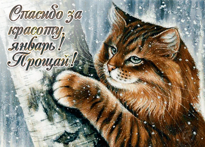 Спасибо за красоту Январь! Прощай!