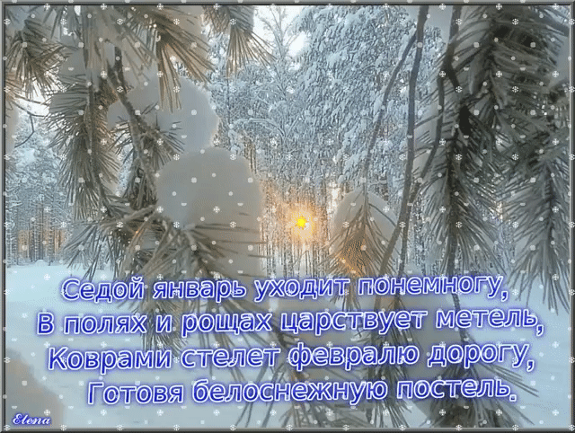 Седой январь уходит понемногу, в полях и рощах царствует метель, коврами стелет февралю дорогу, готовя белоснежную постель.