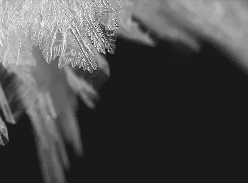 Лед хрустальный бриллиант гифка. Замерзшее окно. Лед хрустальный бриллиант гифка. Замерзшее окно.