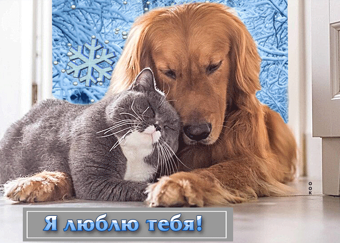 Яркая и оригинальная зимняя гиф-открытка Я тебя люблю с животными.