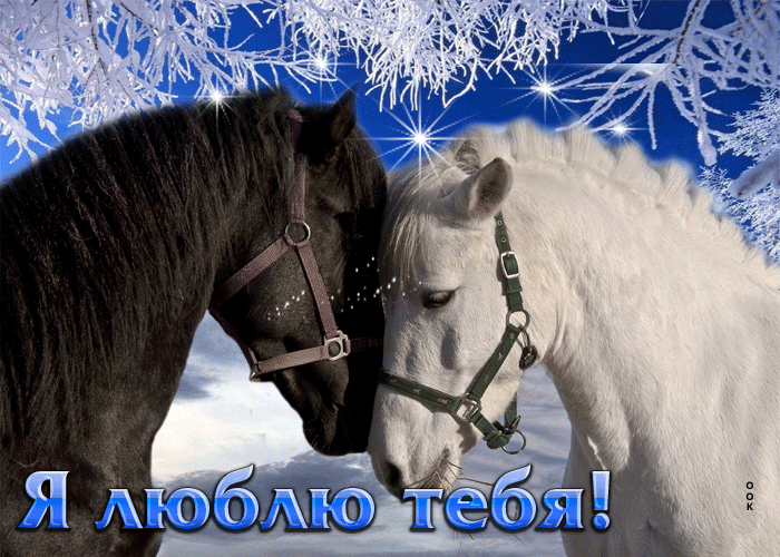 Гифка для влюблённых с лошадьми.