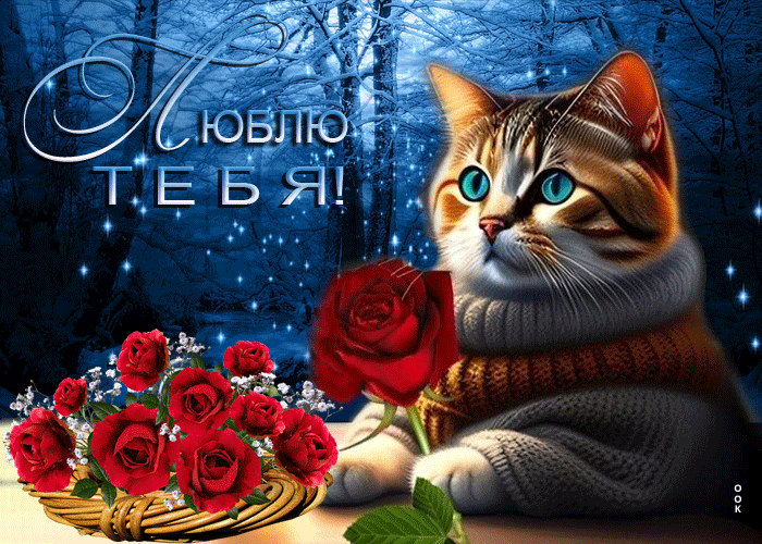 Чудесная картинка с котиком "Люблю тебя!" на фоне снежного леса.