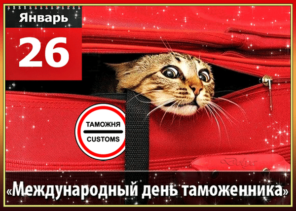 Смешная гифка с котом на международный день Таможенника 26 января. Смешная гифка с котом на международный день Таможенника 26 января.