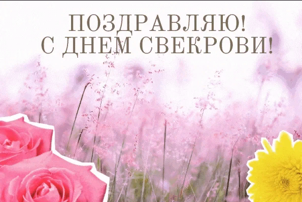 С днем рождения свекрови смешные картинки С днем рождения свекрови смешные картинки