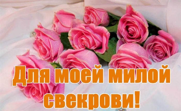 Алые розы для моей милой свекрови. Алые розы для моей милой свекрови.