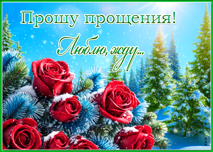 Красивая зимняя анимация "Прошу прощения, люблю и жду" с розами на снегу. Красивая зимняя анимация "Прошу прощения, люблю и жду" с розами на снегу.