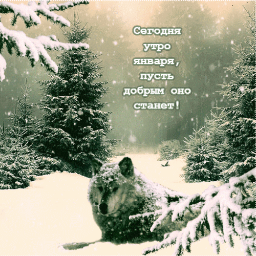 Гифка сегодня утро января, пусть будет добрым. Гифка сегодня утро января, пусть будет добрым.