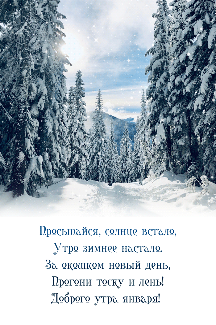 Анимированные стихи на фоне зимнего леса, про утро Января. Анимированные стихи на фоне зимнего леса, про утро Января.