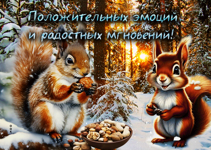 Белочки в зимнем лесу желают вам положительных эмоций и радостных моментов в жизни.