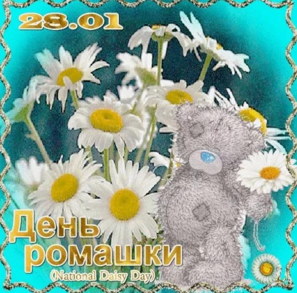 День ромашки 28 января День ромашки 28 января