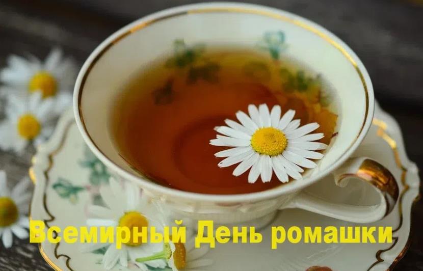 Ромашковый чай на праздник. Ромашковый чай на праздник.