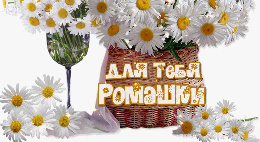 Картинка эти ромашки для тебя. Картинка эти ромашки для тебя.