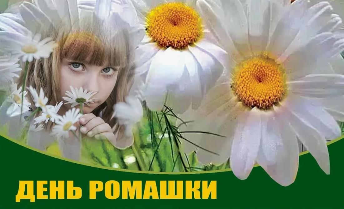 Детская открытка на всемирный день ромашки. Детская открытка на всемирный день ромашки.