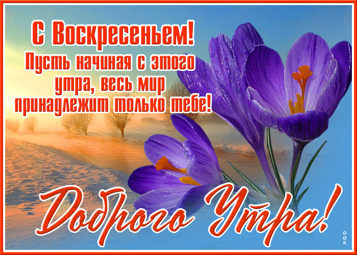 Воскресенье январь картинки.